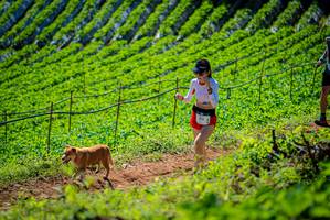 BIB: 
                            <button type="button" onclick="openModal(19163026)" class="btn btn-primary btn-sm float-right btn-popup" data-toggle="modal" data-target=".modal-high-quality">
                        <i class="fas fa-shopping-cart"></i> Add to Cart
                    </button>
                                            <button type="button" onclick="isThisMe(19163026, true)" class="btn btn-success btn-sm float-right btn-popup btn-isme hidden" data-toggle="tooltip" data-placement="bottom" title="นี่คือรูปของคุณใช่ไหม คลิกที่นี่เพื่อเอาเข้าอัลบั้ม">
                        <i class="fas fa-plus"></i> Add to album
                    </button>
                    <button type="button" onclick="isThisMe(19163026, false)" class="btn btn-warning btn-sm float-right btn-popup btn-isnotme hidden">
                        <i class="fas fa-ban"></i> Remove from album
                    </button>